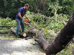 Mulching Services in Sugarcreek, PA